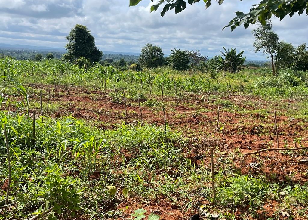 Best practices in Climate-smart Agriculture