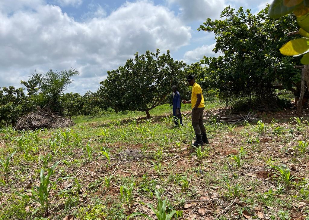 Grassroot Shared learning for Environmental Sustainability