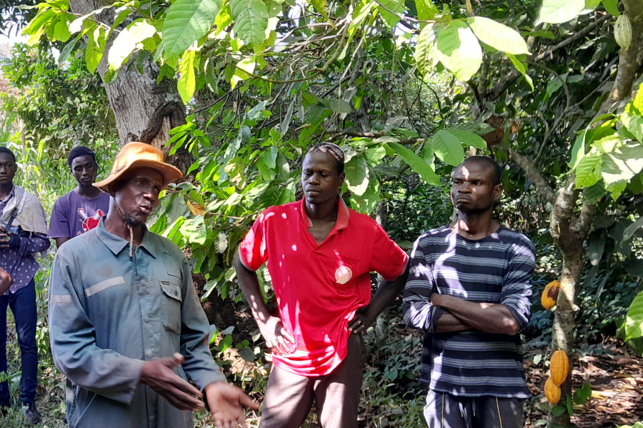 Farmer Training on best agronomic practices for cocoa production and climate Change mitigation