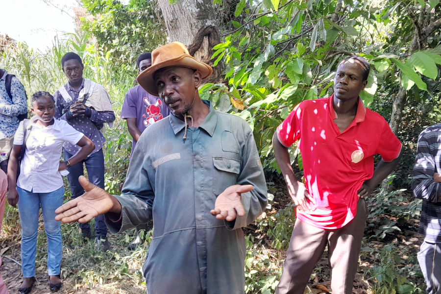 Farmer Training on best agronomic practices for cocoa production and climate Change mitigation