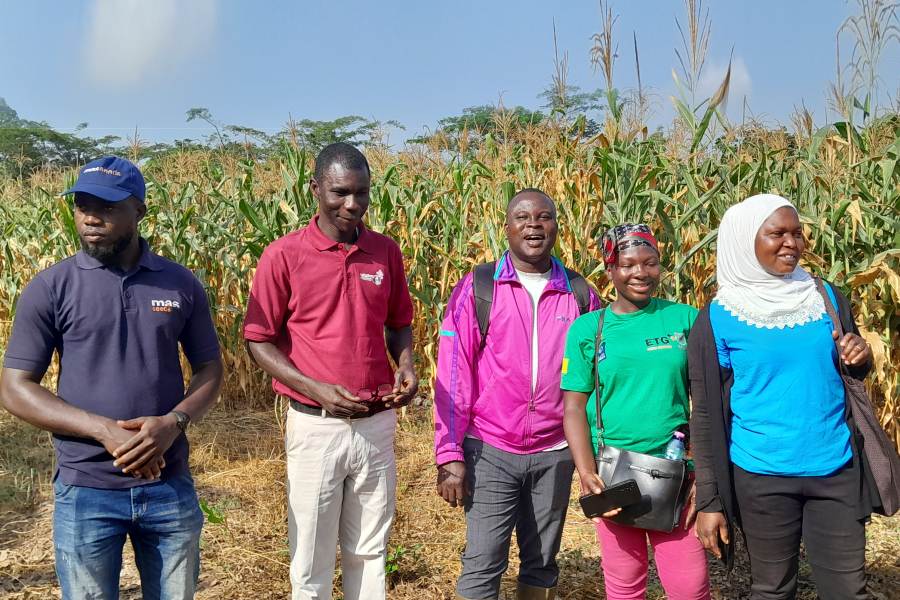 Multi-actor Collaborations _ Team from the Department of Agriculture, Ministry of Food and Agriculture, Bono East Region