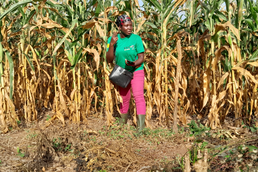 Women leading women: building the capacity of women in maize cultivation against climate change