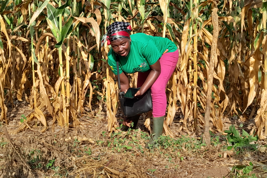 Women-led Actions for Climate-smart Agriculture and Food Security
