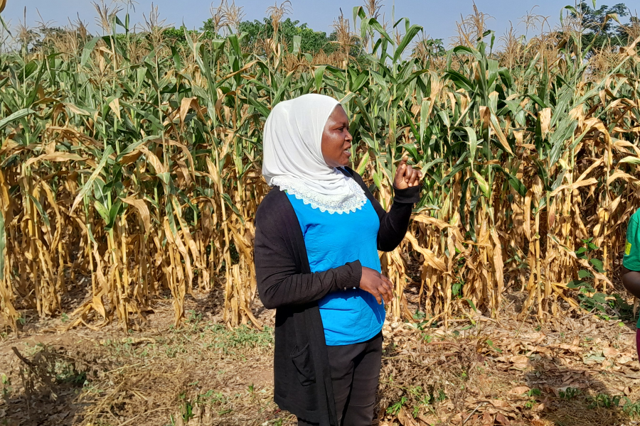 Women-led Actions for Climate-smart Agriculture and Food Security - Inclusivity and diversity