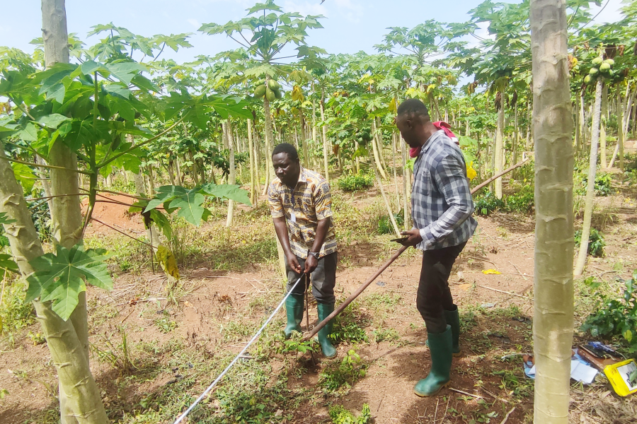 Local people are trained and capacitated to own and lead project in communities
