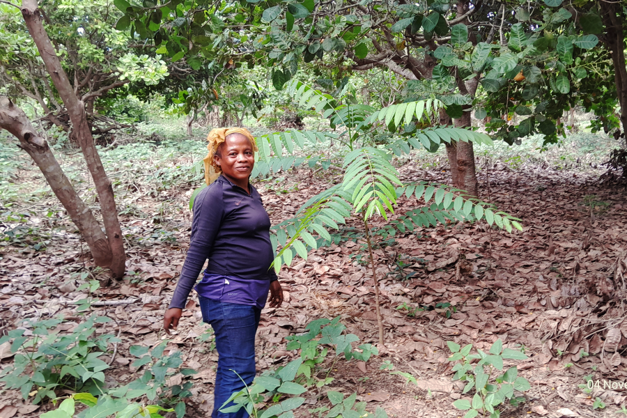 Empowering women in Agroforestry and Restoration